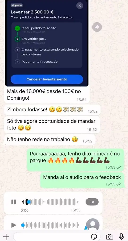 capa-feedback-4.jpg